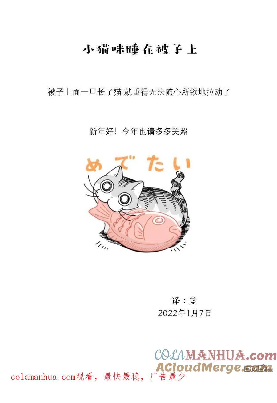 第98话-关于养猫我一直是新手-キュルZ（第3张）