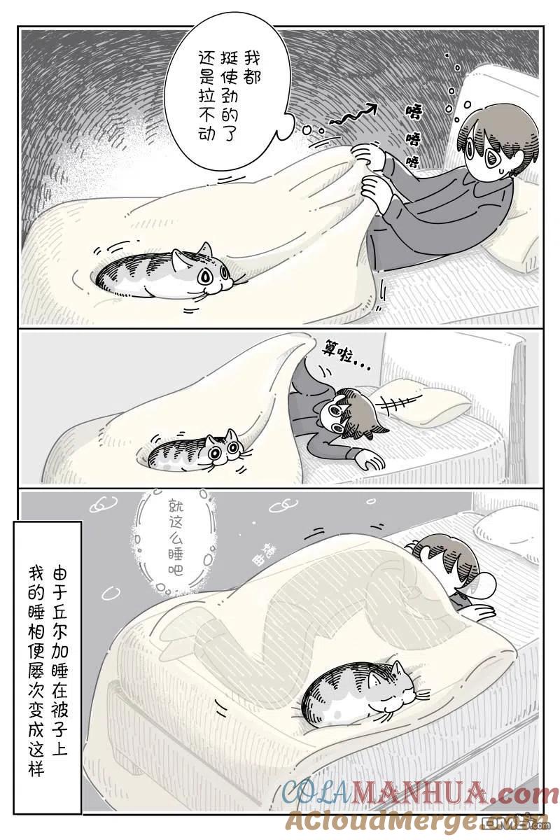第98话-关于养猫我一直是新手-キュルZ（第2张）