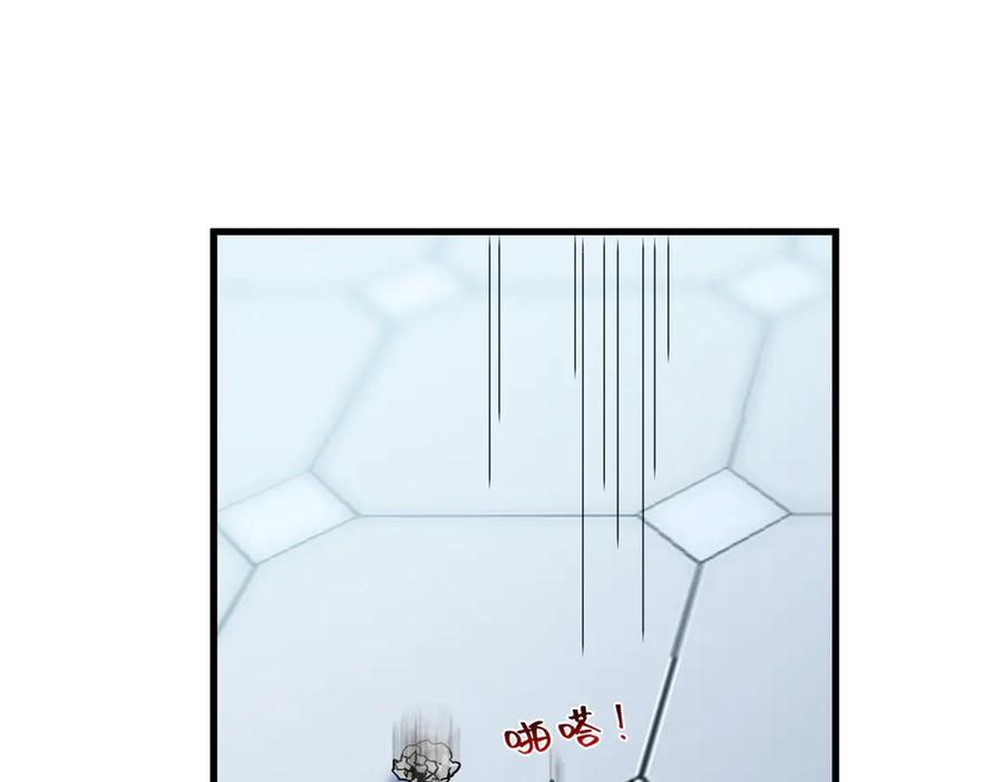 55.jpg