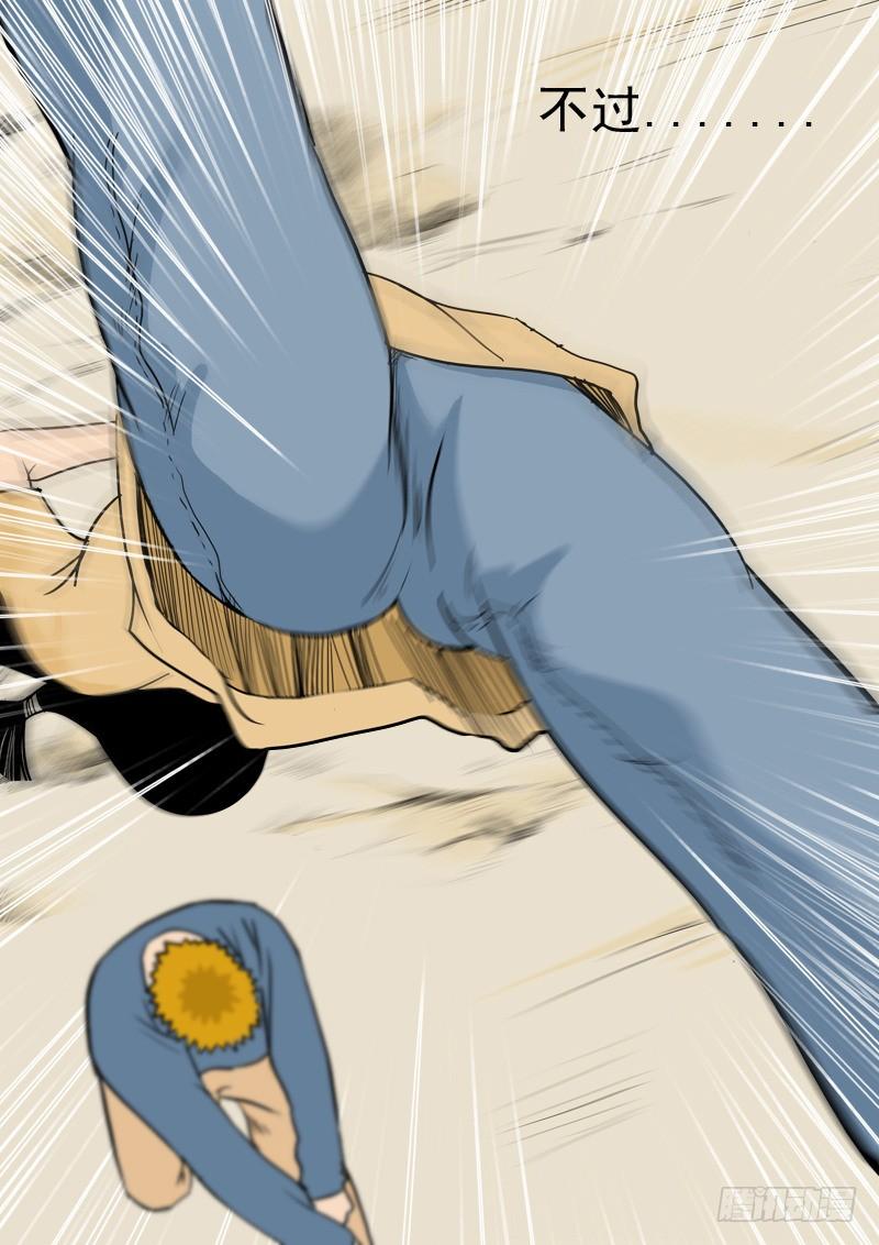 15.jpg