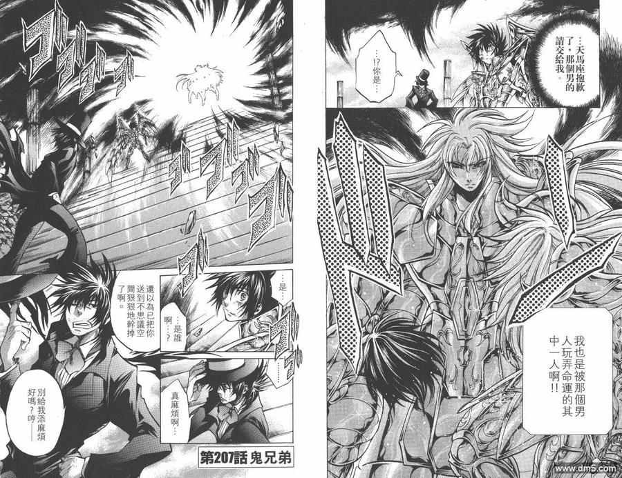 第24卷-圣斗士星矢 冥王神话-手代木史织（第13张）