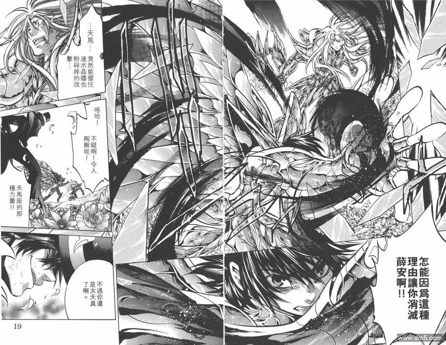 第24卷-圣斗士星矢 冥王神话-手代木史织（第10张）