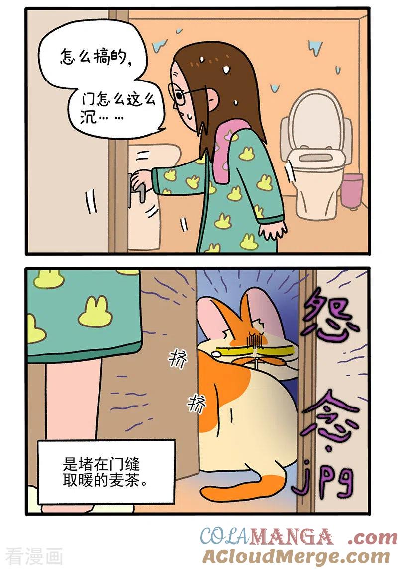 第59话2供暖前的寒冷地狱-阿满和麦茶-新漫画 日胖大海寺（第2张）