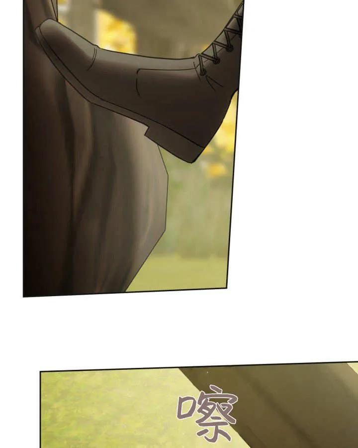 62.jpg