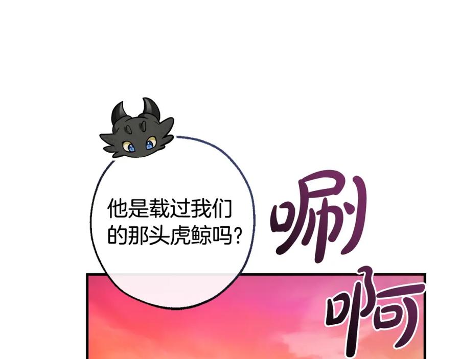 223.jpg