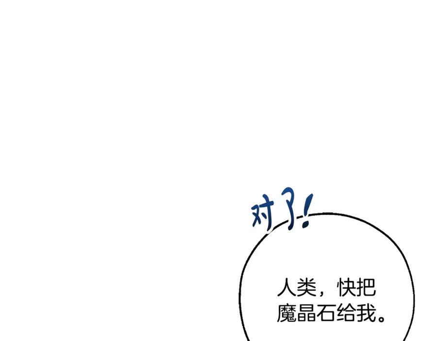 110.jpg