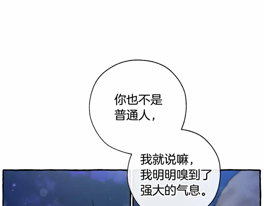 96.jpg