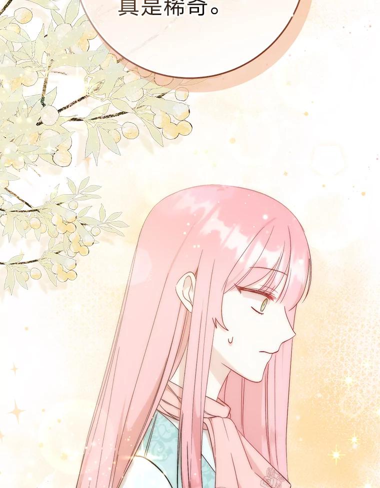 5.颜值即正义-成为短命女主的妹妹-DAON WEBTOON STUDIO,Taehan,Bae Hee Jin（第1张）