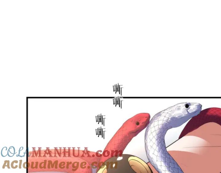 81.jpg