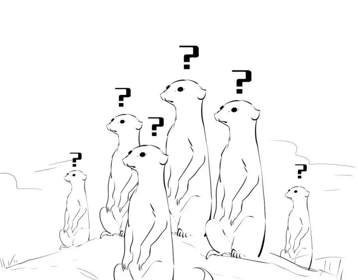 112.jpg