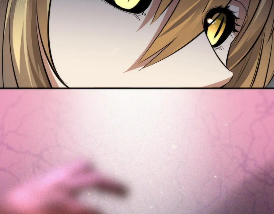 116.jpg