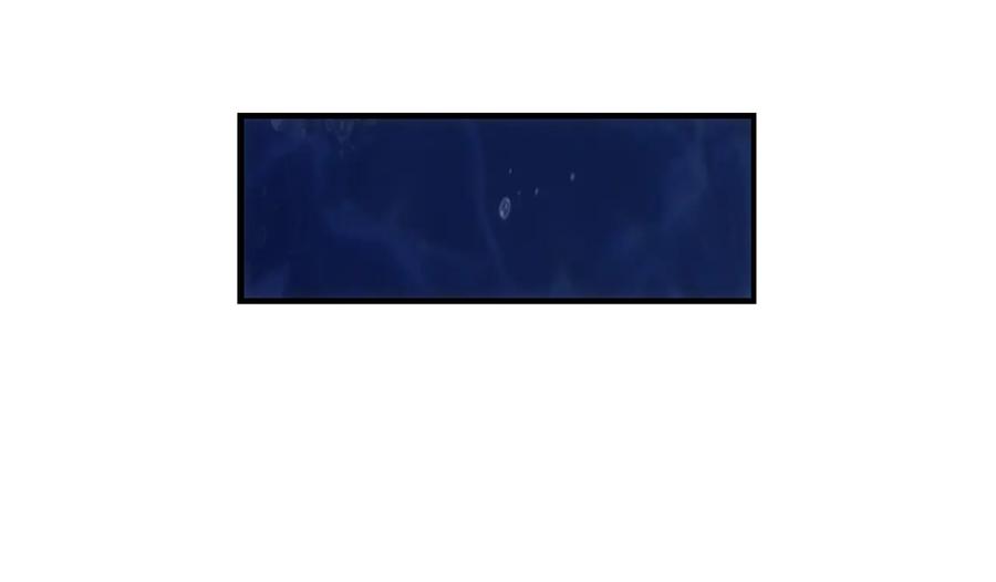 83.jpg