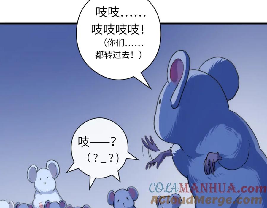 117.jpg