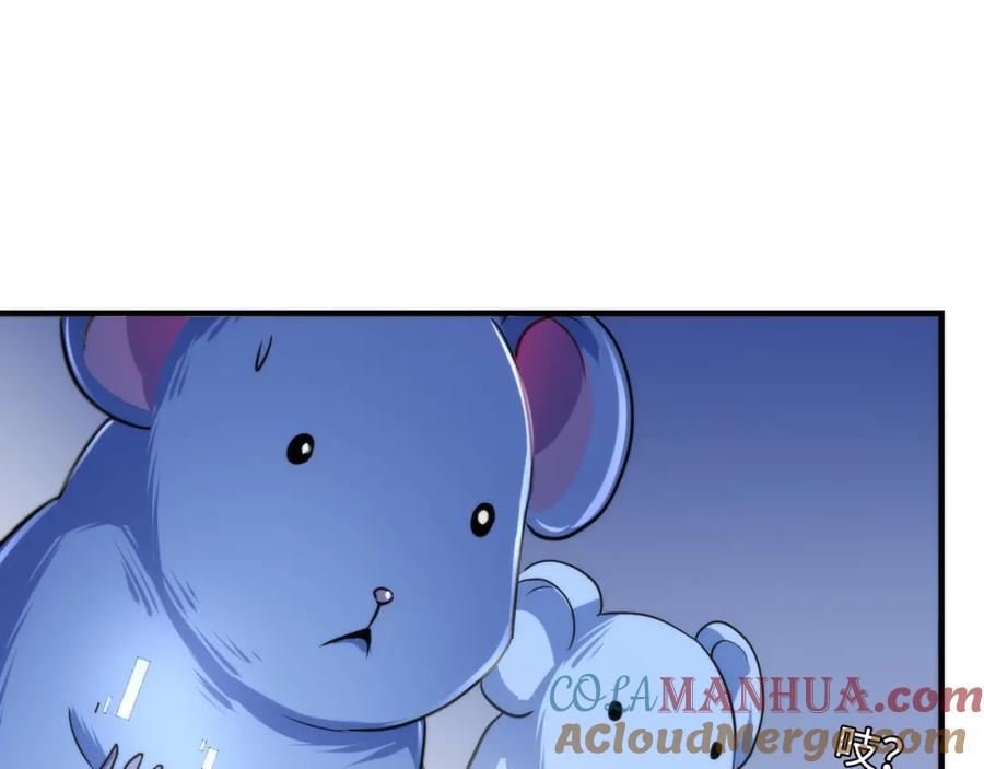 113.jpg