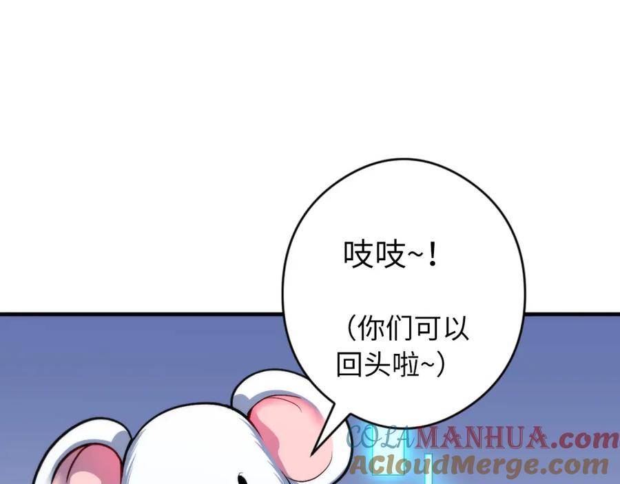85.jpg