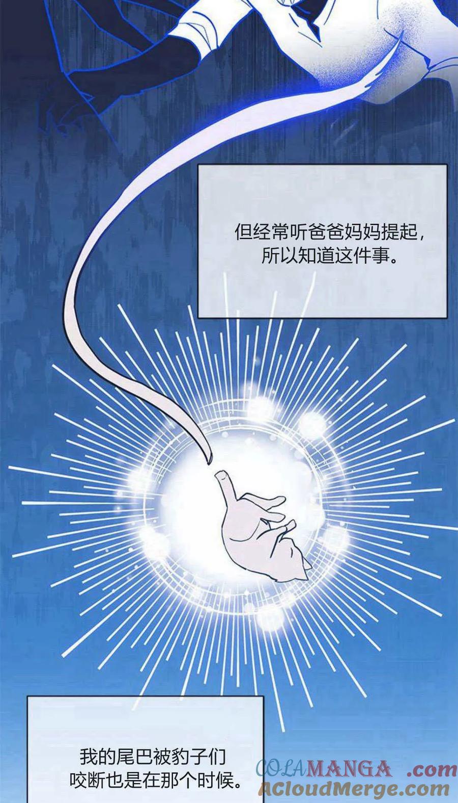第17话-明明是猫，却被狼族收养了？-노찬주（第7张）