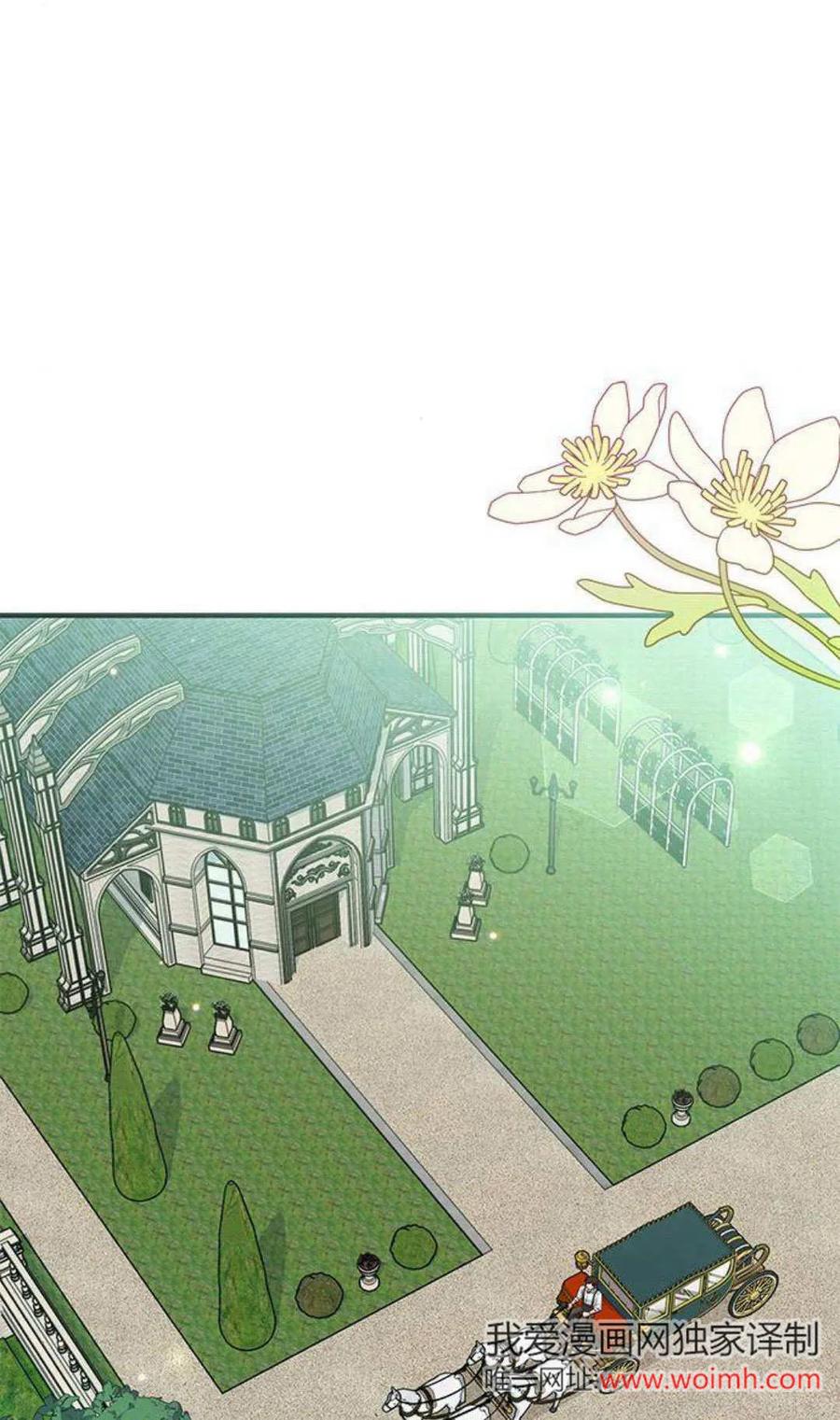 第17话-明明是猫，却被狼族收养了？-노찬주（第12张）
