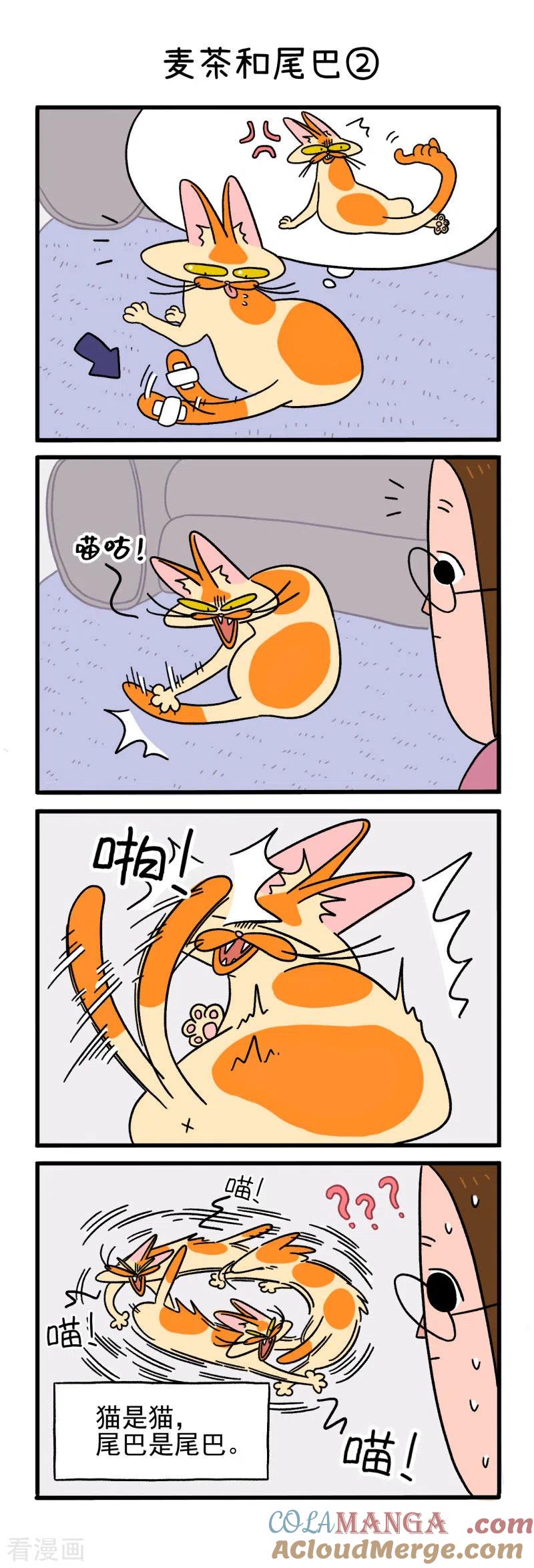 第8话麦茶和尾巴-阿满和麦茶-新漫画 日胖大海寺（第3张）