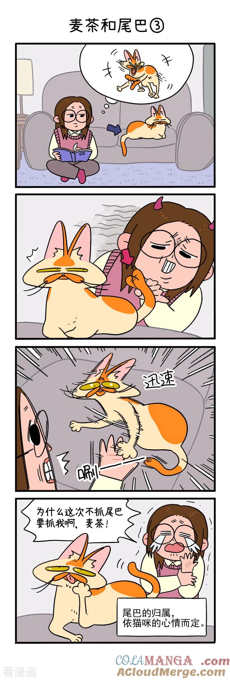第8话麦茶和尾巴-阿满和麦茶-新漫画 日胖大海寺（第4张）