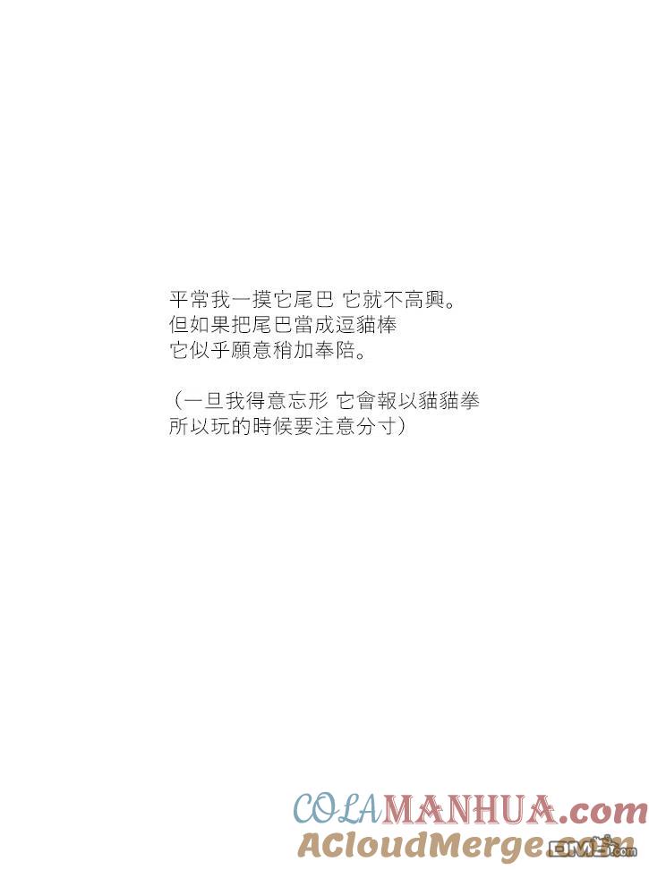 第31话-关于养猫我一直是新手-キュルZ（第2张）