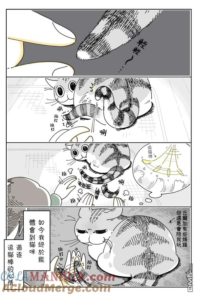 第31话-关于养猫我一直是新手-キュルZ（第1张）