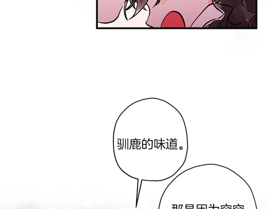 91.jpg