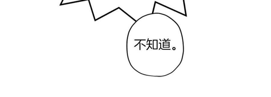 115.jpg