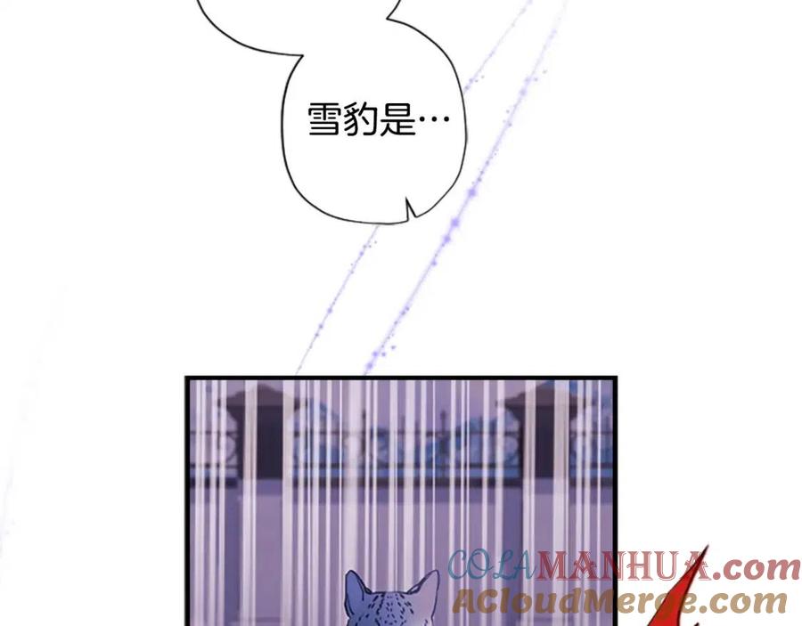137.jpg