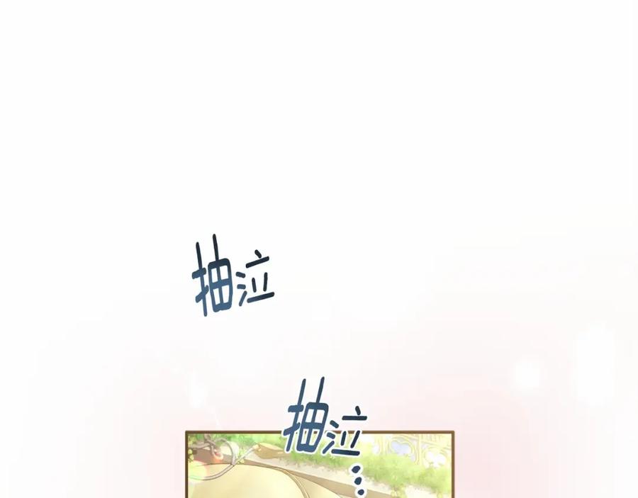 127.jpg