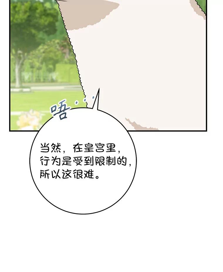 50.jpg