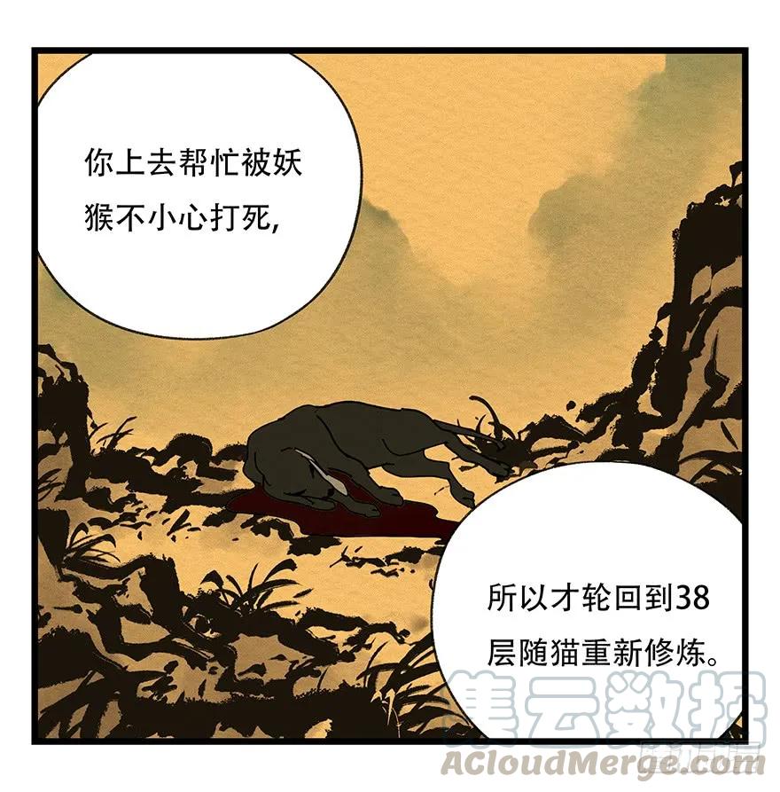 19.jpg