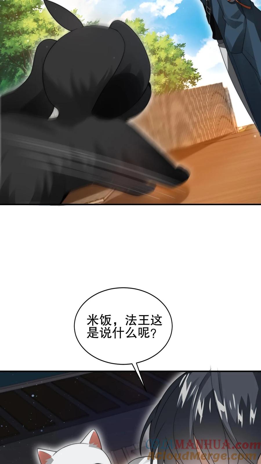 21.jpg