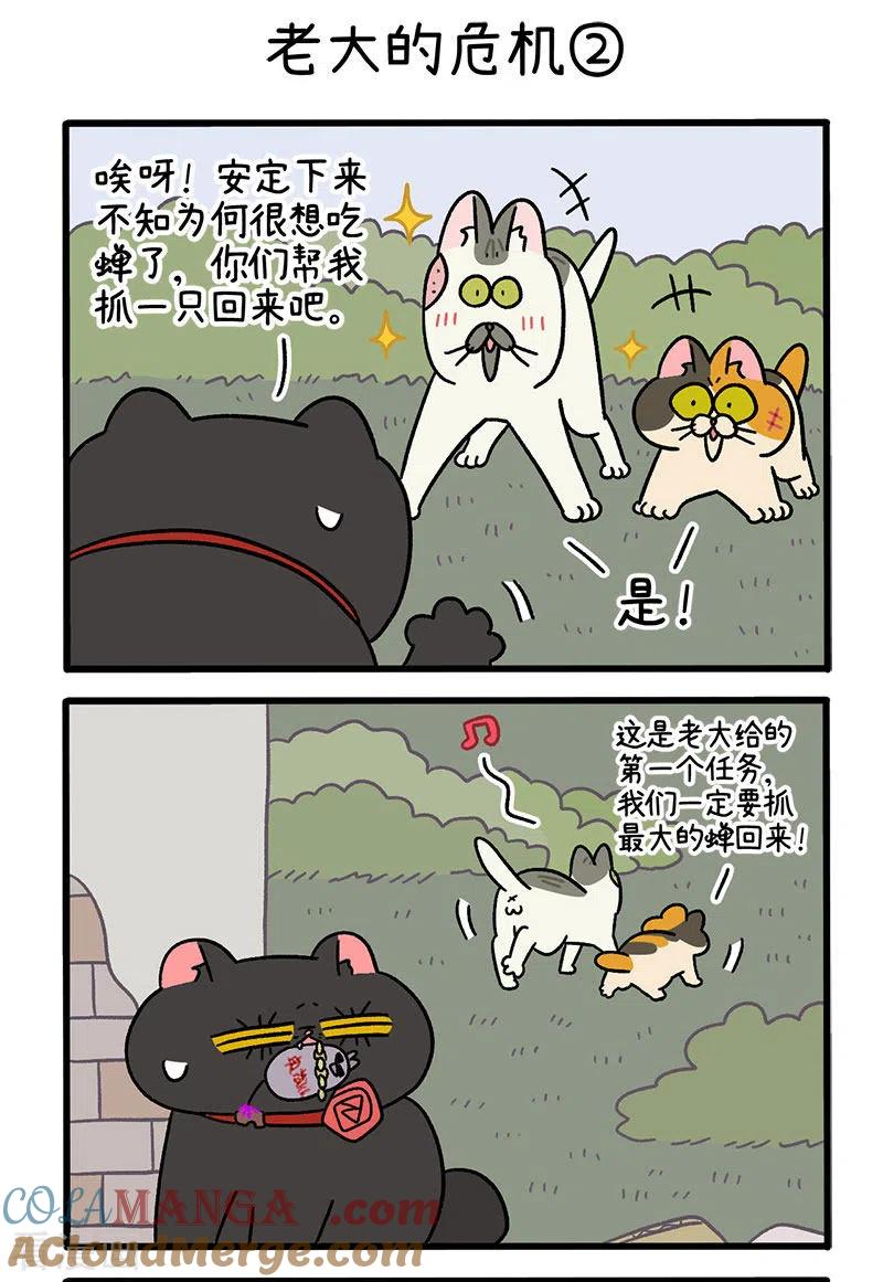 第40话1老大的危机-阿满和麦茶-新漫画 日胖大海寺（第3张）