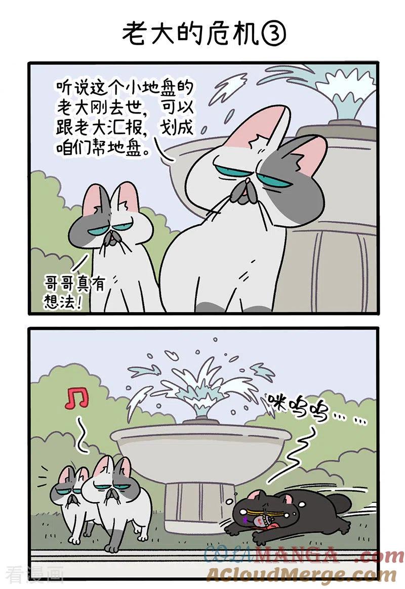 第40话1老大的危机-阿满和麦茶-新漫画 日胖大海寺（第5张）