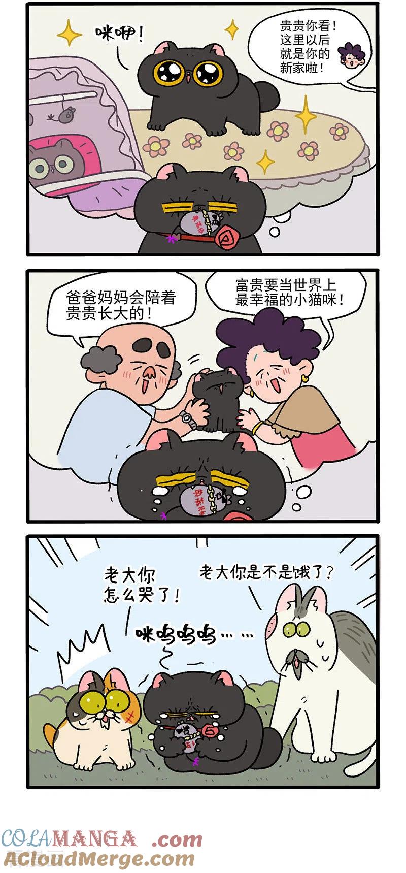 第40话1老大的危机-阿满和麦茶-新漫画 日胖大海寺（第2张）