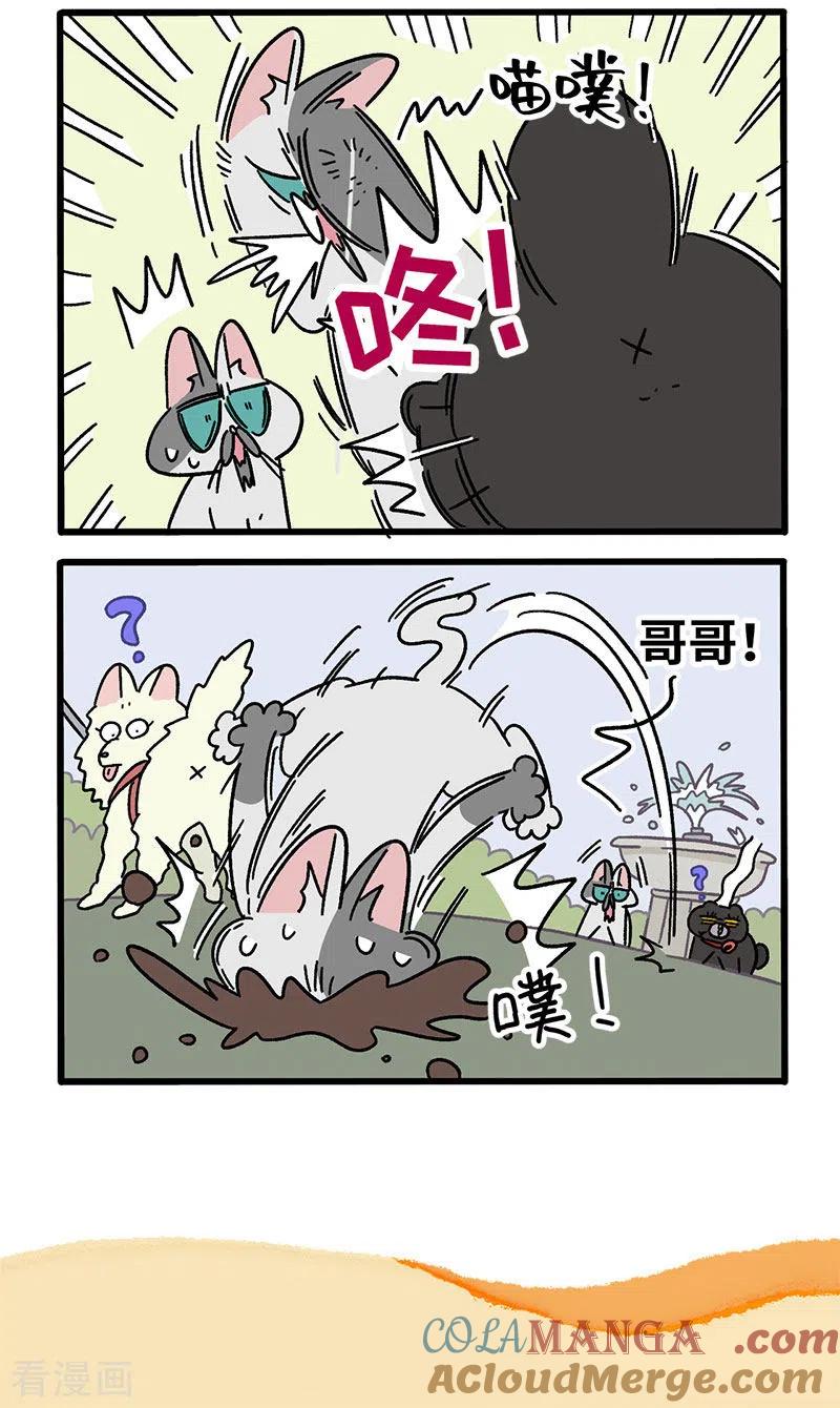 第40话1老大的危机-阿满和麦茶-新漫画 日胖大海寺（第6张）