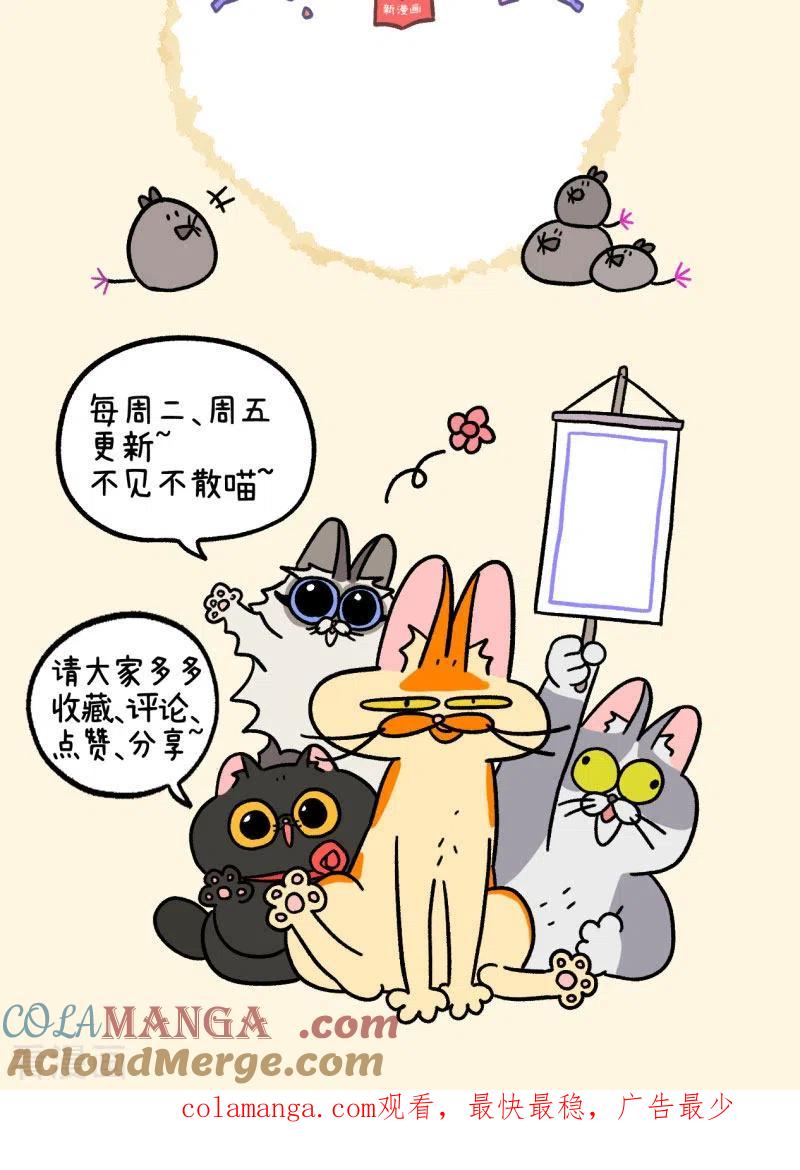 第40话1老大的危机-阿满和麦茶-新漫画 日胖大海寺（第8张）