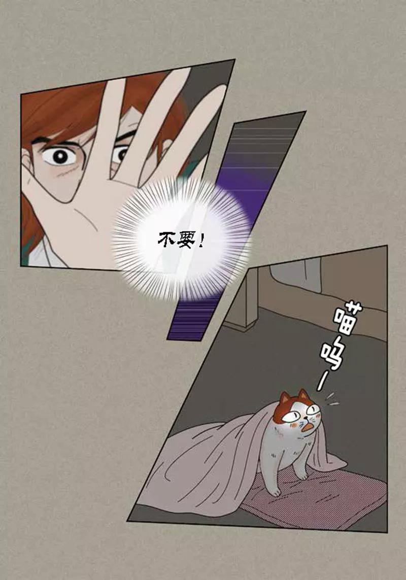 第42话被发现-猫王子-蓝文文化（第3张）