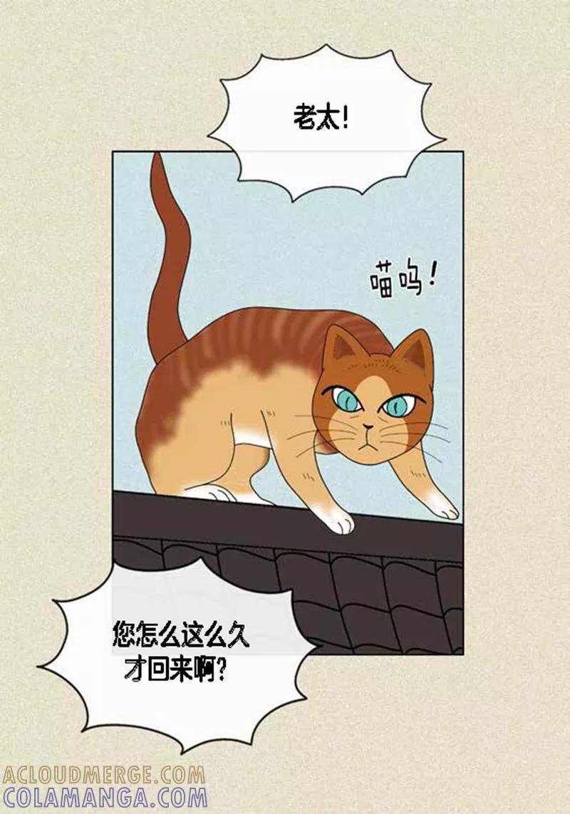 第45话猫王子的下一个目标-猫王子-蓝文文化（第23张）