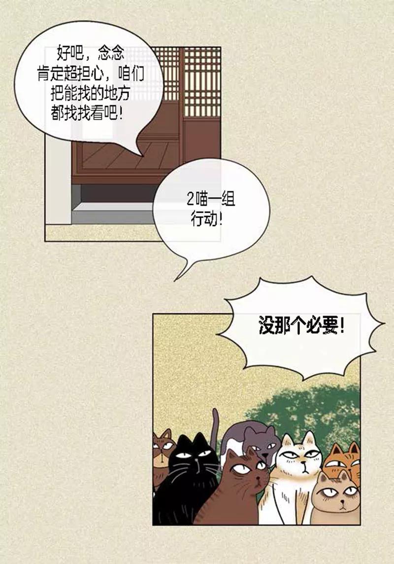 第45话猫王子的下一个目标-猫王子-蓝文文化（第22张）