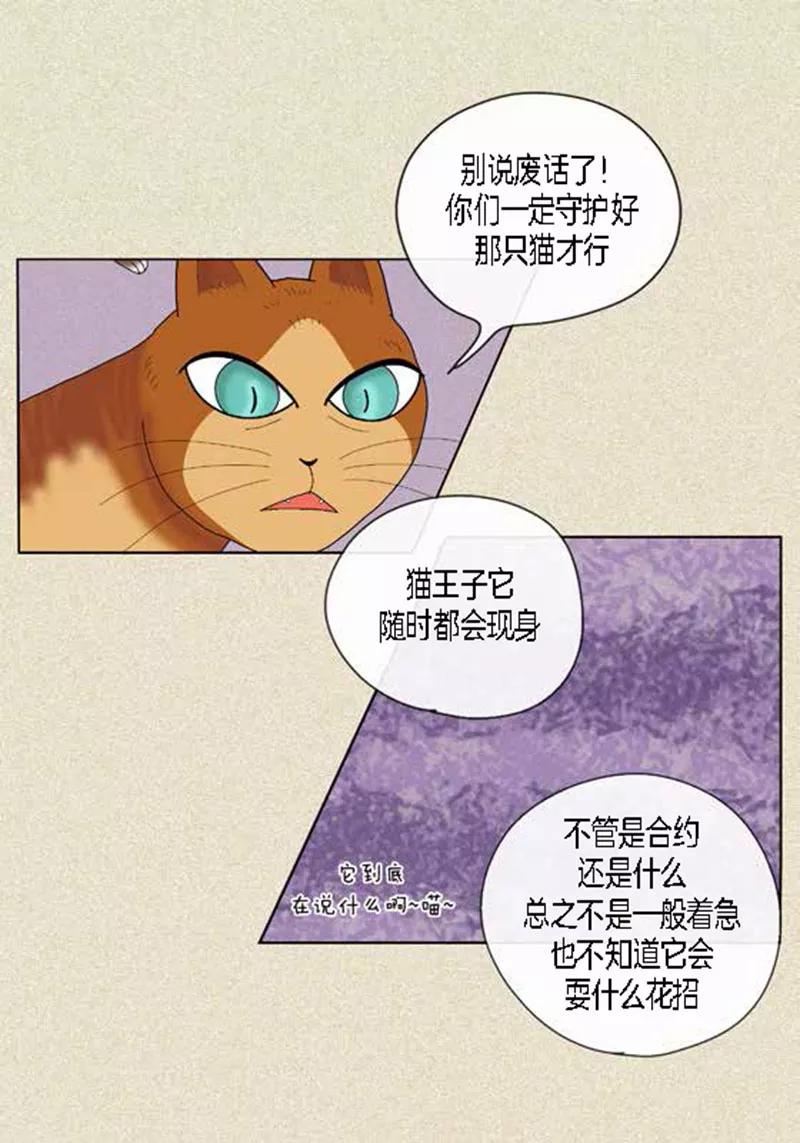 第45话猫王子的下一个目标-猫王子-蓝文文化（第28张）