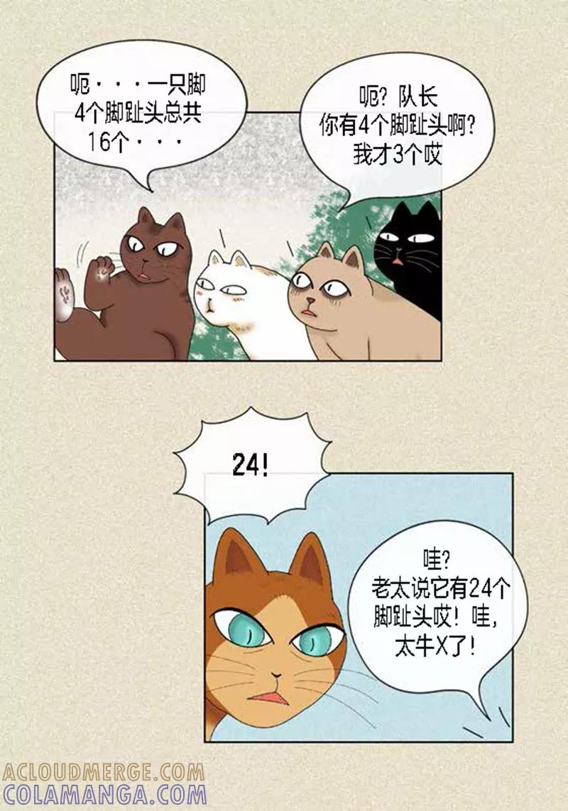 第45话猫王子的下一个目标-猫王子-蓝文文化（第27张）