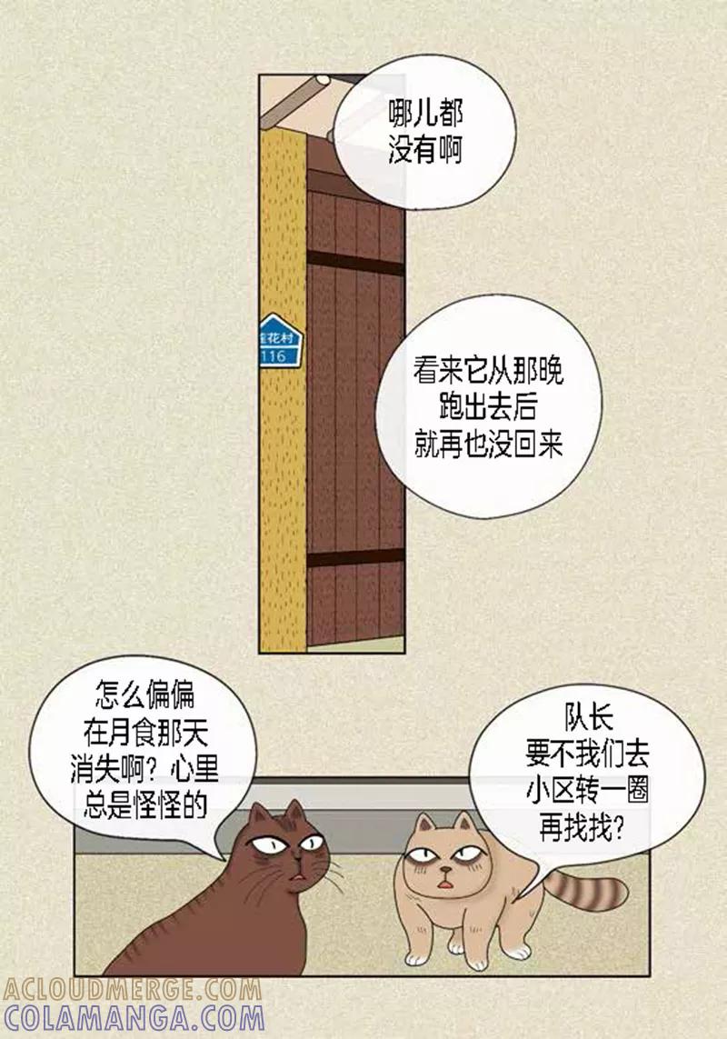 第45话猫王子的下一个目标-猫王子-蓝文文化（第21张）