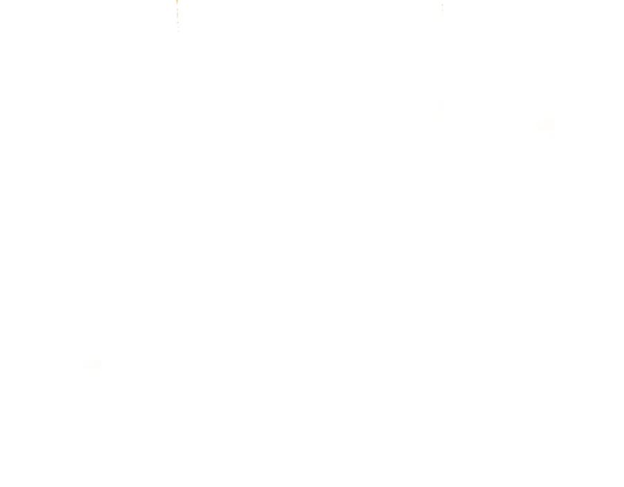 75.jpg