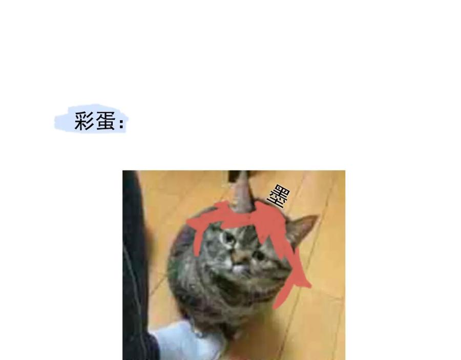 103.jpg