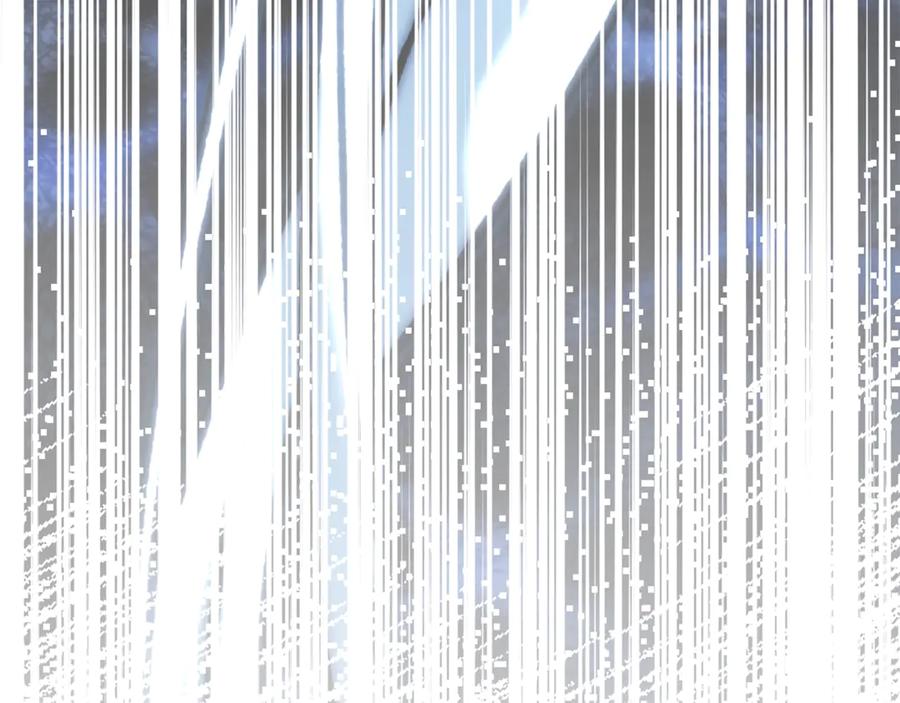 264.jpg