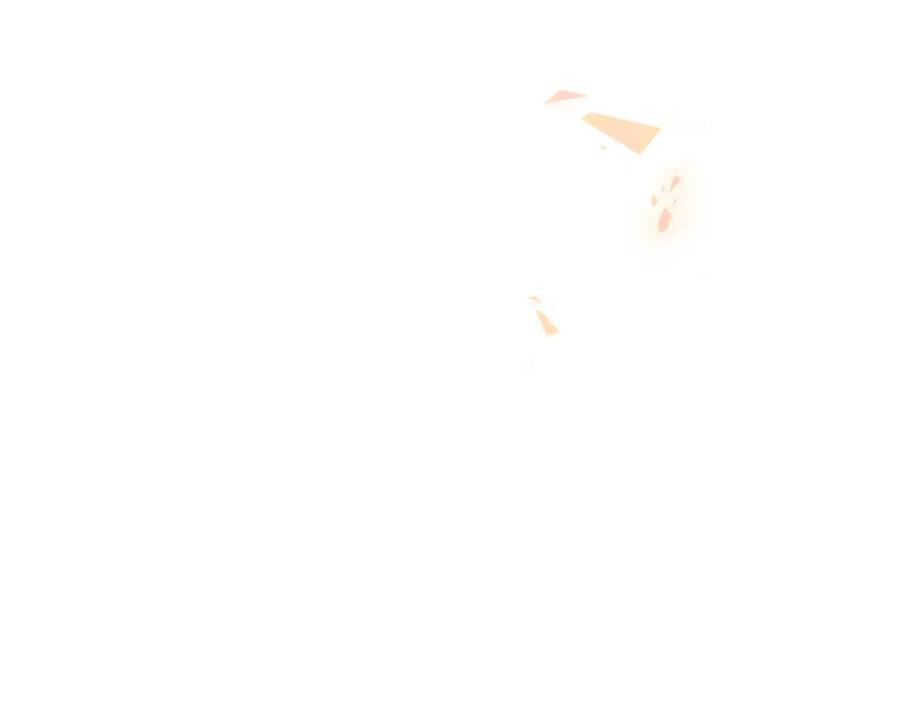 65.jpg