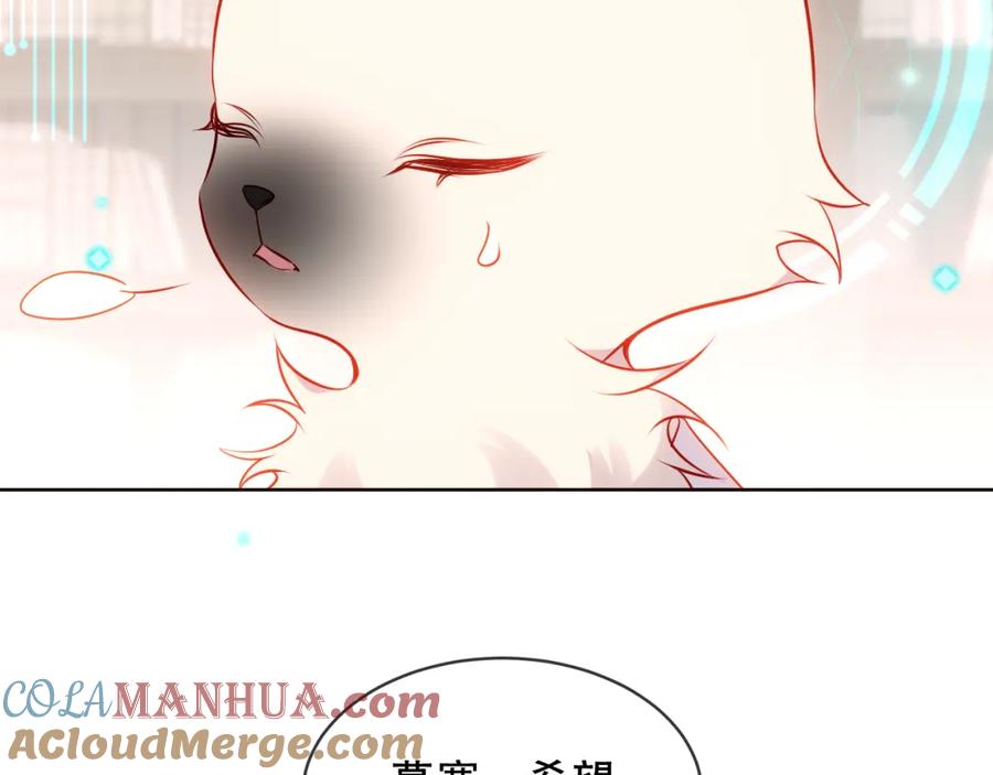 43.jpg