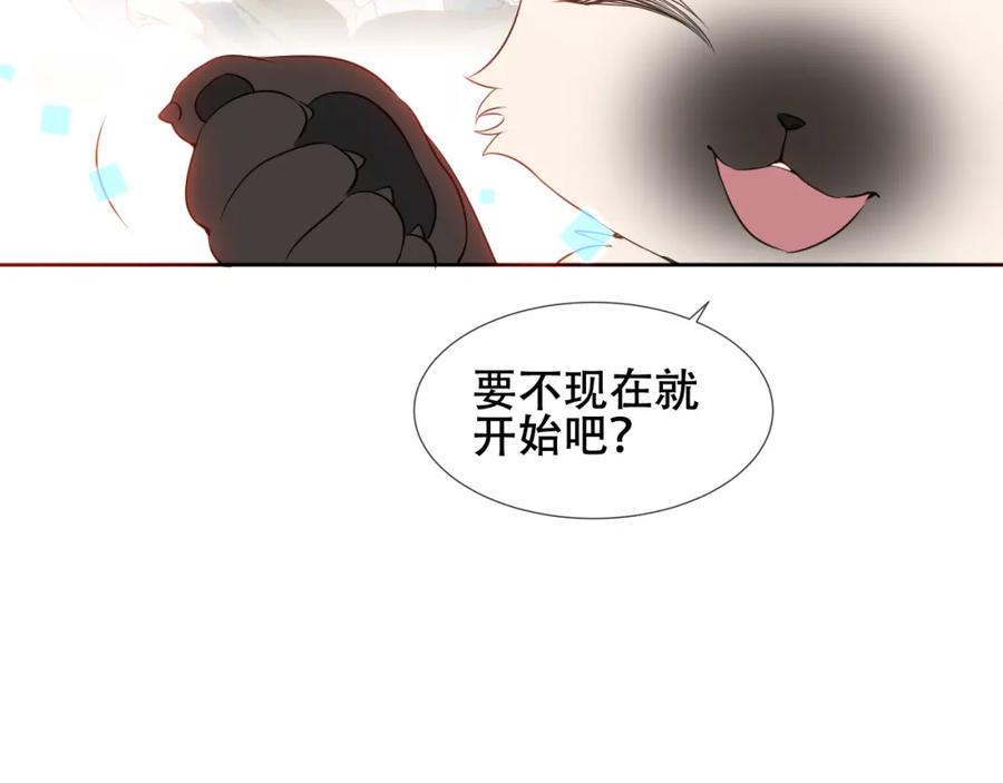 78.jpg