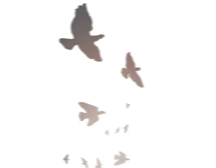 48.jpg